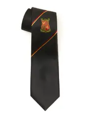 Jnr Black/Gold/Red Tie With Crest