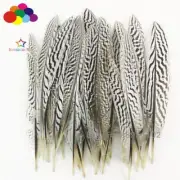 New 100Pcs 20-25CM Natural silver Pheasant white Tail Feather