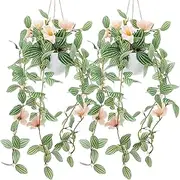 Kepfire 2Packs Faux Hanging Plants Artificial Decor Simulation Hanging Plants with Champagne Flower Samll Natural Ivy Greenery Décor Bedroom Garden Farmhouse Wall Shelf Indoor Outdoor