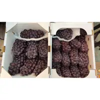 在飛比找蝦皮購物優惠-閔凡水果-日本長野小珍珠葡萄 2kg