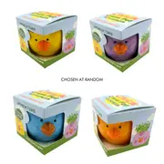 Mr Fothergill's Cress Chick Grow Kit Assorted Colours