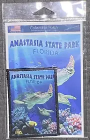 Lantern Press Iron On Anastasia Florida Color Graphic Patch Kit - New