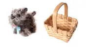Toto Dorothy wizard of oz dog toy Book week Halloween Dorothy