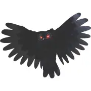 Animated Owl - Sunstar