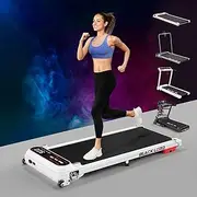 BLACK LORD Treadmill Electric Running Machine Workout Exercise 2.2/2.4/3.0/3.2/3.5/4.0/5.2HP Fitness Equipment Walking Jogging Trainer for Home Gym Office Commercial Series