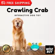 Crawling Crab Interactive Dog Toy