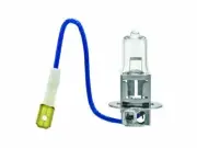 For 1995-1997 Jaguar XJ6 Fog Light Bulb Hella 12552HP 1996 Fog Light (for: Jaguar)