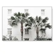 GGP Wall Art 70Cmx100Cm Palm Tree White Frame Canvas