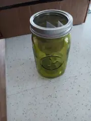 Modern Sprout Jar - Grow with Self Watering Indoor Garden Mason Green