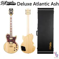 在飛比找蝦皮商城優惠-D'Angelico Deluxe Atlantic Ash