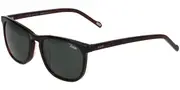 Joop! 7105 8940 Men's Sunglasses Brown Size 53