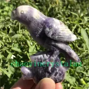 0.41LB Natural Dreamy Amethyst parrot Skull Quartz Crystal Carved Reiki XK1432