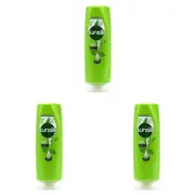 3x Sunsilk 300ml Womens Lively Clean & Fresh Revitalizes Hair Care Conditioner