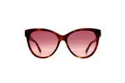 Moncler Sunglasses ML0283 52T Havana Bordeaux Gradient