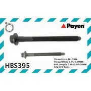 Payen Cylinder Head Bolt Set - HBS395