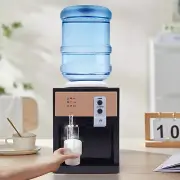 Electric Water Dispenser Desktop Drinking Fountain Cold & Hot Warm Water Cooler