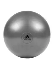 Adidas Gym Ball with Pump Exercise Yoga Fitness Pilates Birthing Training 55cm