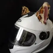 Pack of 2 Cat Ears for Helmet, Motorcycle Helmet Ears, Cat Ears, Decoration, Cute Helmet Accessories for Bicycle Helmet, Ski Helmet, Motorcycle Helmet, Snowboard Helmet, Funny Animal Design,