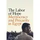 The Labor of Hope: Meritocracy and Precarity in Egypt