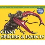 GIANT SPIDERS & INSECTS: GIANT SPIDERS AND INSECTS