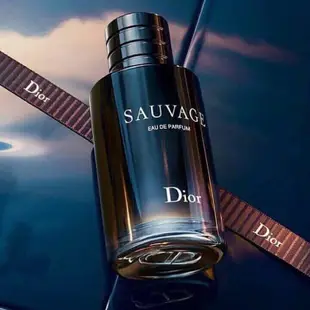 Dior SAUVAGE 曠野之心 男士香氛 體香膏 體香噴霧 淡香精