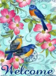 5D Diamond Painting Three Bird Welcome Kit