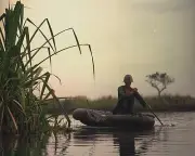 Soldier paddles boat during Operation Tong Thang 8"x 10" Vietnam War Photo 248