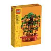 在飛比找蝦皮購物優惠-【台中翔智積木】LEGO 樂高 40648 搖錢樹 金錢樹 