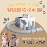【PET TOWN】智能寵物吹水機 (寵物吹水機 寵物吹風機 寵物美容 貓狗專用烘乾機 吹毛神器 毛小孩)