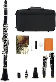 B-Flat Ebonite Clarinet, Mouthpiece Cushion, 17 Nickel-Plated Keys, Hard Case, Soft Polishing Cloth, For Student Beginner
