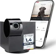 Cam 360° Pet Camera Dog Camera with App [Without Subscription Trap] - Cat & Dog Camera at Home with Motion Detection & Night Vision Function - Full HD All-Round View 360° Pan & Tilt - Pet Cam