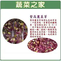 在飛比找蝦皮購物優惠-蔬菜之家滿額免運【00J12】紫高麗菜芽種子70公克(芽菜種