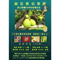 在飛比找蝦皮購物優惠-🍐麻豆勇伯文旦.大白柚🌱季節限定💚入秋美味🍐