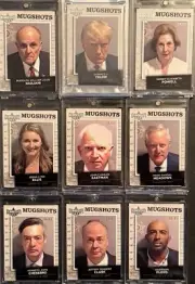 (FULL SET) 2023 Decision Mugshots All #/47 to Include Donald J Trump Graded PSA