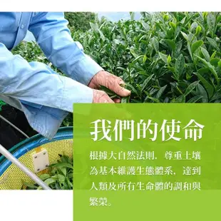 【龍源茶品】福壽梨山經典茗品烏龍茶葉禮盒150gx2罐(共0.5斤;附提袋;生青茶;無焙火;無發酵)