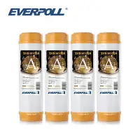 在飛比找樂天市場購物網優惠-(4支入)EVERPOLL EVB-M100A標準型10英吋