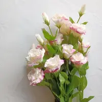 在飛比找ETMall東森購物網優惠-網紅仿真花淺粉桔梗 手感保濕 家居裝飾 花藝 單枝假花 攝影