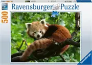 Ravensburger - Cute Red Panda Puzzle 500 Piece