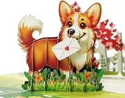 CUTPOPUP Happy Corgi, Valentines Day Card Pop Up, Anniversary Card, Wedding, Engagement, 3D Greeting Card (Happy Corgi) LO189AU1520