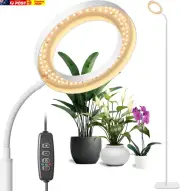 White Ring Floor Grow Light, LED Full Spectrum Plant Light with Stand, 3/9/12H T