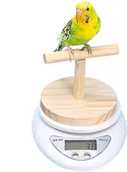 Parrot Scale with Perch, Scale for Small Animal Pet Bird Canaries, Digital Weighing Tool, High Accuracy Weight Change Monitoring for Medication, Feed Monitoring, Grain Milk Powder