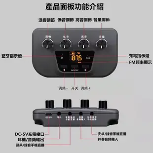 🔥限時特惠🔥免運🔥車用麥克風 無線麥克風 麥克風 車載KTV 汽車FM連接 卡拉OK 電視 無線K歌 超長續航 藍牙