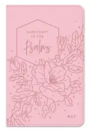 NLT Sanctuary in the Psalms by Dayspring: New