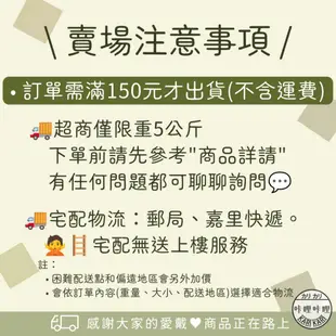 全館優惠中🔥蕾妮亞 衛生棉 晚安褲 素肌 護墊 超速吸 零觸感 特薄 花王 無香料 日本境內 衛生棉 生理褲