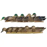 Avian X Topflight Mallard Duck, 6 Pack, with Early Season Teal Decoys, 6 Pack