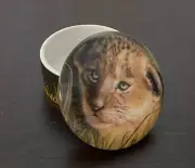 Princeton Gallery Cube of the Big Cats Music Box Collectable 1195 Leon