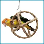 PARROT TOYS 帶鈴鐺防咬圖形適用於 BUDGIE PARAKEET 褐褐褐 CONURE JIWTW GZFW