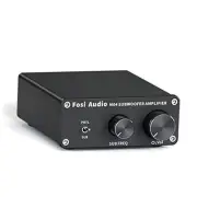 M04 Subwoofer Amplifier for Home Theater Mono Channel Digital Class D