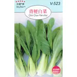 種子王國 青梗白菜 湯匙菜  青江菜 【蔬果種子】 天星牌 彩色包裝 原包裝種子 家庭園藝 小包裝種子