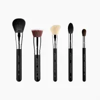 在飛比找Yahoo!奇摩拍賣優惠-Sigma CLASSIC FACE BRUSH SET 臉